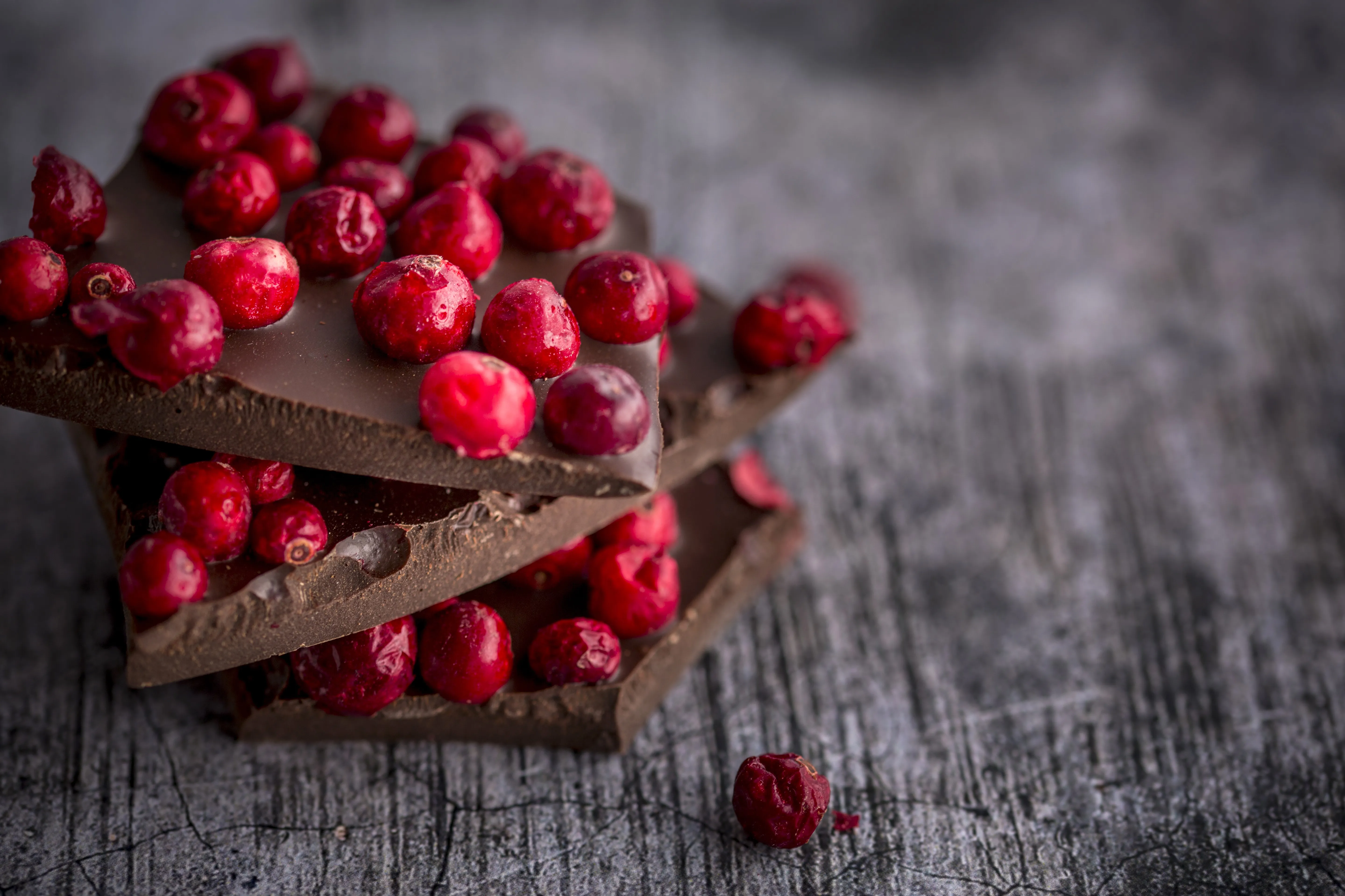 Dammenberg Chocolate Gallery 3