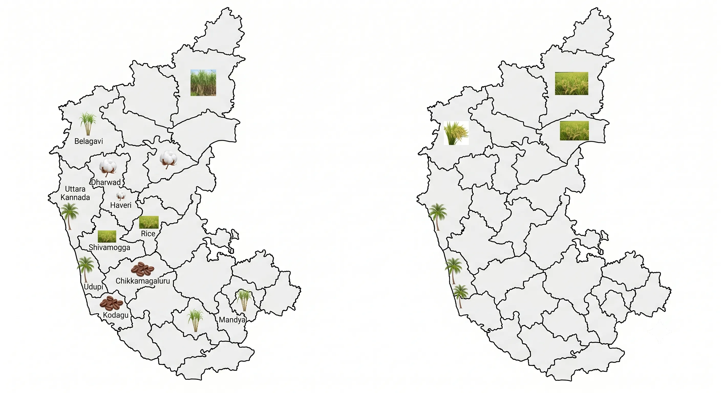 Karnataka map with crops